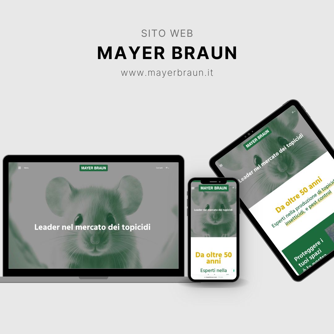 MAYER BRAUN